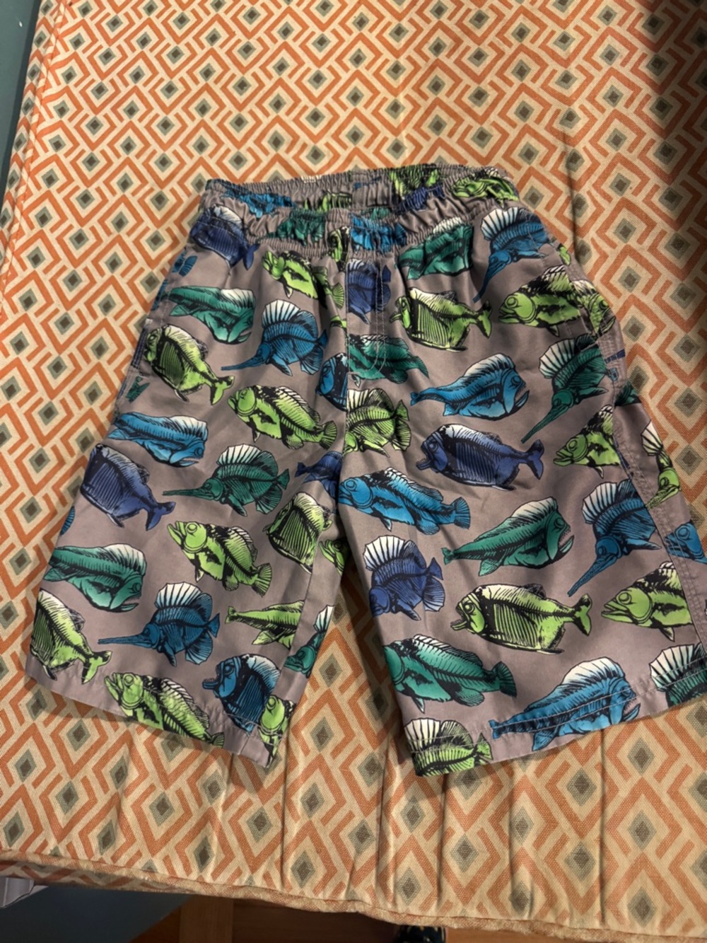 Boys size 5 Gymboree swim shorts